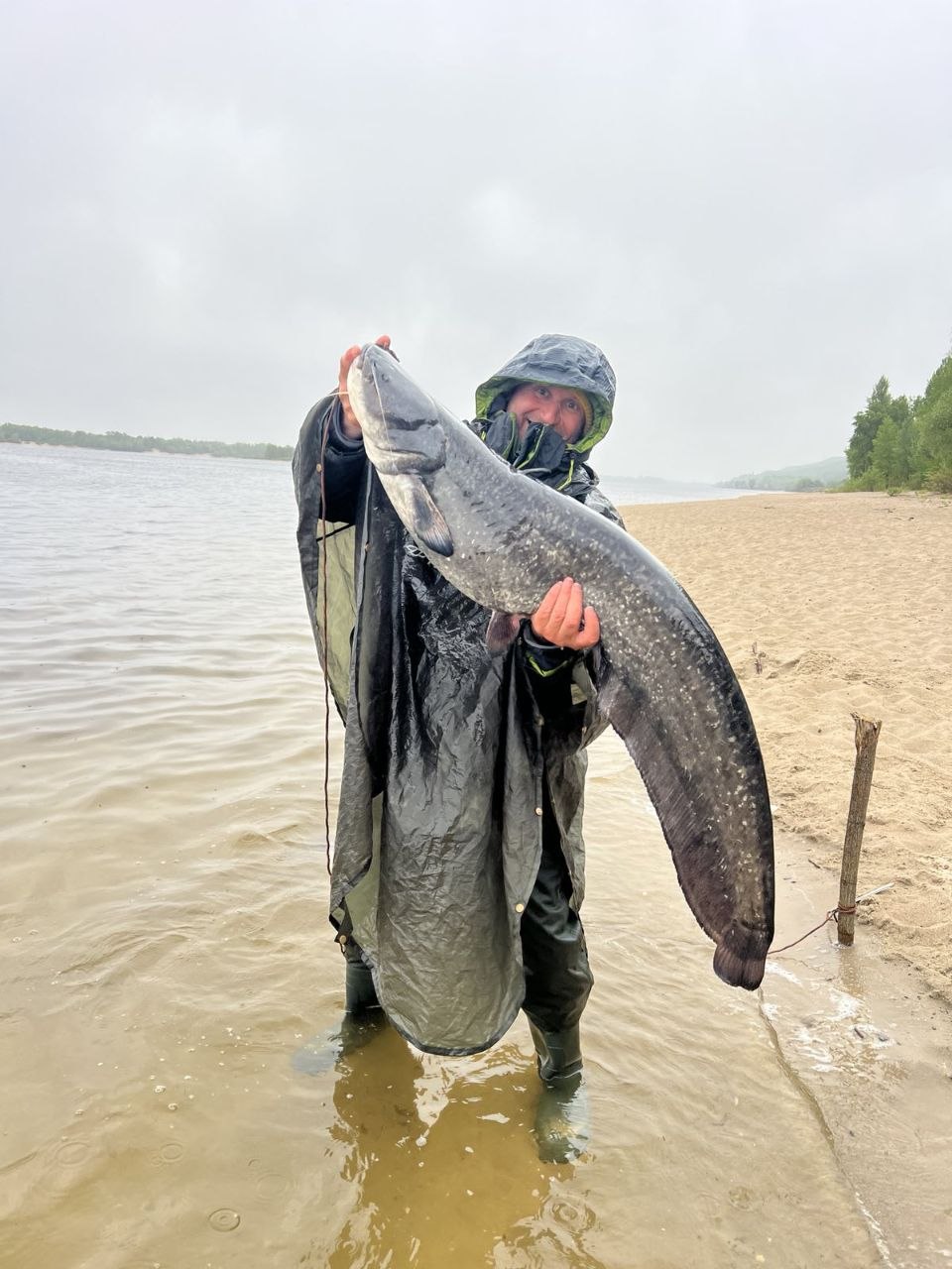 CrazyMarlin